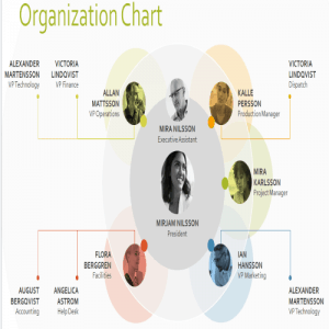 25+ FREE Editable Organizational Chart Templates - Besty Templates