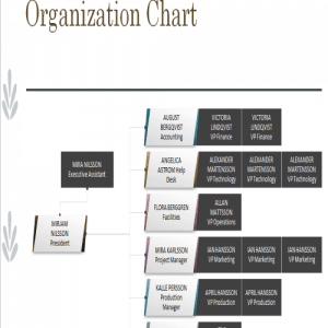 25+ FREE Editable Organizational Chart Templates - Besty Templates