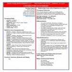 50+ Compelling Capability Statement Templates - Besty Templates