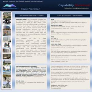 50+ Compelling Capability Statement Templates - Besty Templates