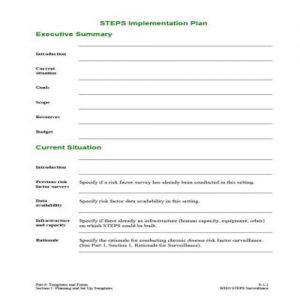 40+ FREE Editable Implementation Plan Templates - Besty Templates
