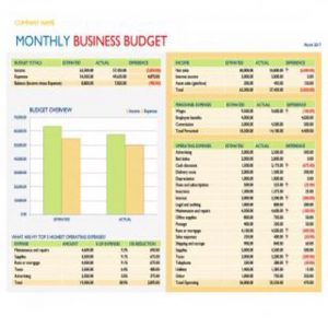 30+ Editable Business Budget Templates - Besty Templates