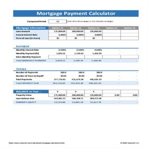 29+ Editable Loan Amortization Schedule Templates - Besty Templates